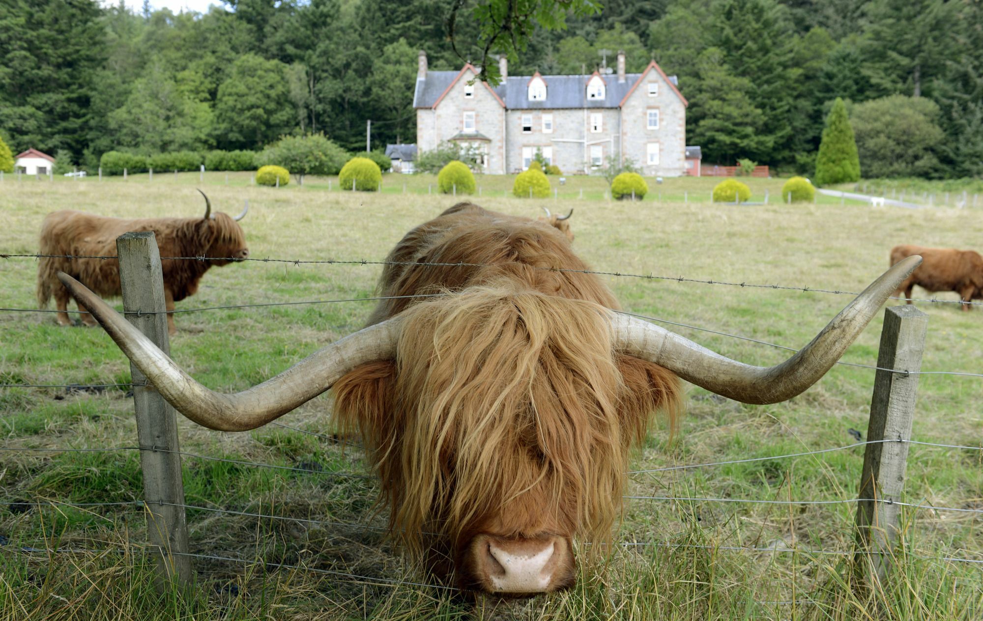 Inch Hotel Fort Augustus Exterior foto